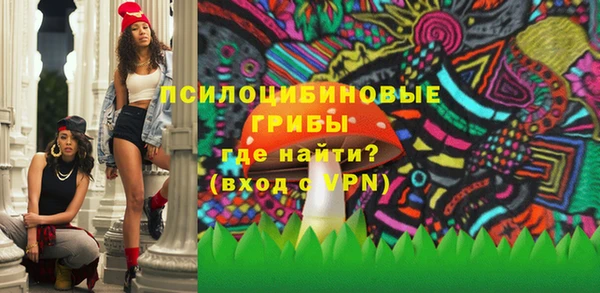 шишки Приозерск