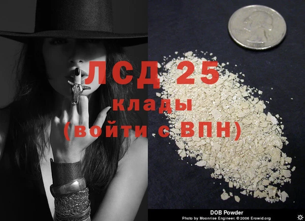 ПСИЛОЦИБИНОВЫЕ ГРИБЫ Пролетарск