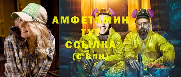 молекула духа Протвино