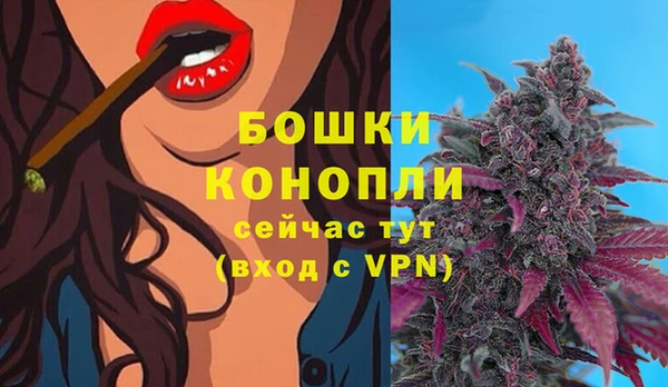 ПСИЛОЦИБИНОВЫЕ ГРИБЫ Пролетарск