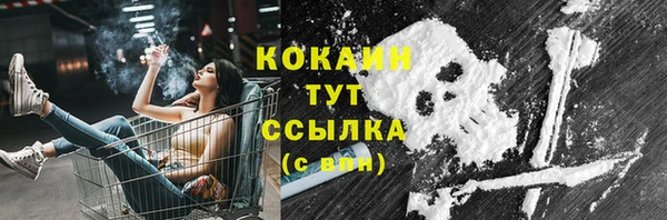 шишки Приозерск