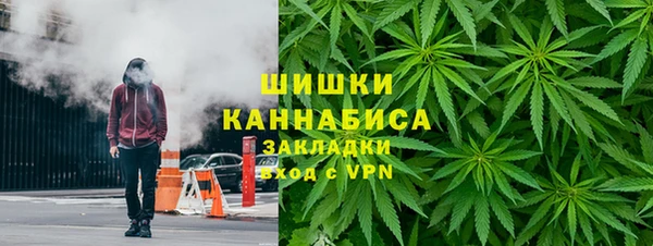 шишки Приозерск
