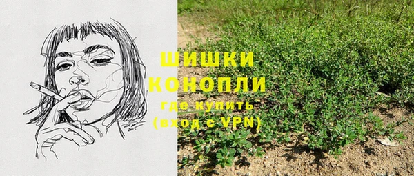 шишки Приозерск