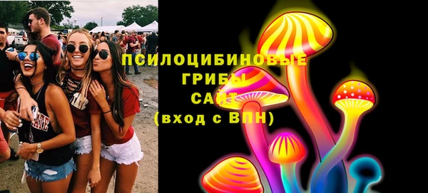 ПСИЛОЦИБИНОВЫЕ ГРИБЫ Пролетарск