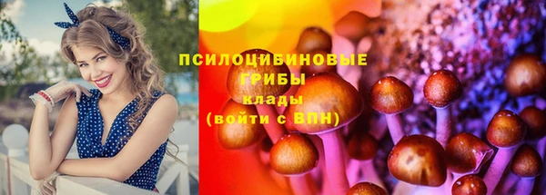 молекула духа Протвино
