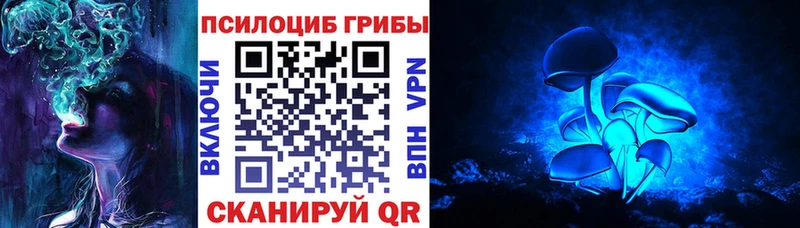 Купить закладки  Краснообск  Галлюциногенные грибы прущие грибы 